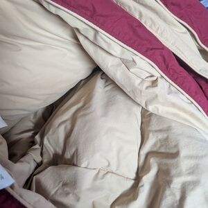 Luxurious Cream and Burgundy Comforter Set